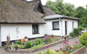 Reetdachidylle mit Terrasse&Balkon - ABC194